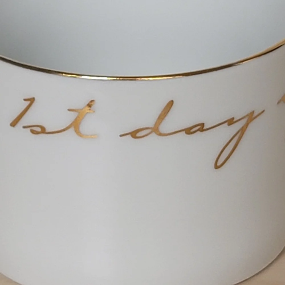 Pier 1 Cup and Saucer 12 Days Of Christmas On The First Day Partridge Gold Trim